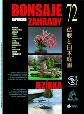 Bonsaje a japonské zahrady č. 72
