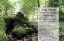 Bonsai Inspirations 1 - Harry Harrington