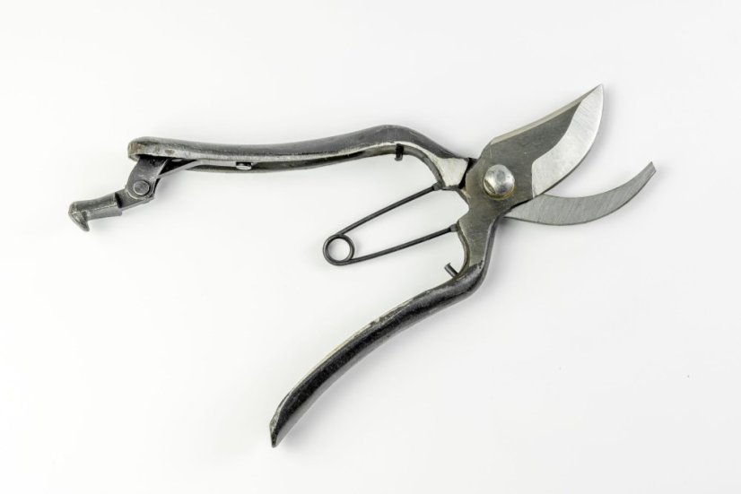Zahradní nůžky 20 cm