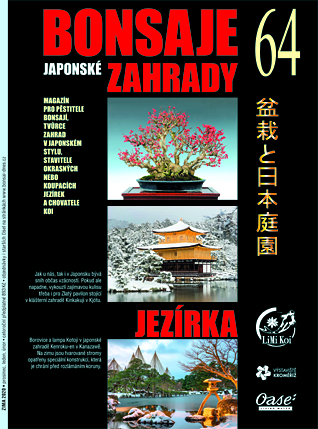 Bonsaje a japonské zahrady č. 64