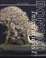 Bonsai Inspirations 1 - Harry Harrington
