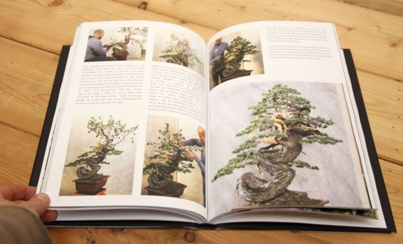 Italian bonsai dream - Mauro Stemberger