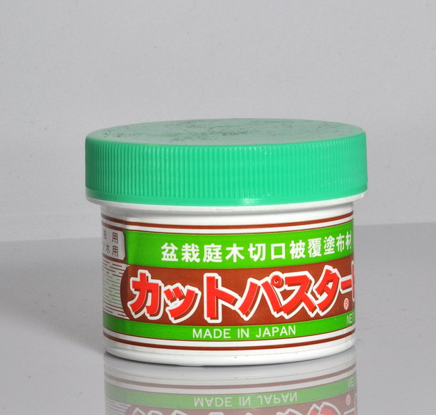 CU-pasta Japonsko - 160g