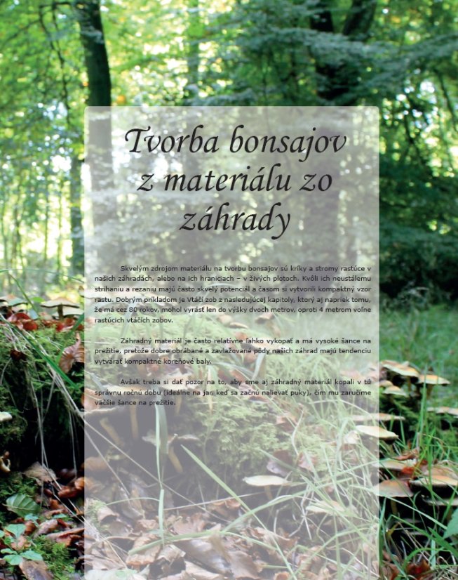 Bonsajové Inšpirácie 1 - Harry Harrington