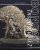 Bonsai Inspirations 1 - Harry Harrington