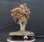 Carpinus betulus #01