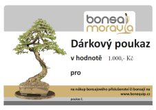Dárkový poukaz - 1000 Kč