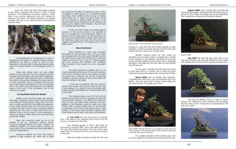 Bonsai Inspirations 1 - Harry Harrington