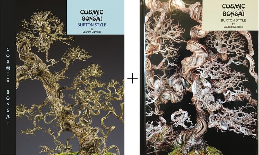 Cosmic bonsai SET - Laurent Darrieux